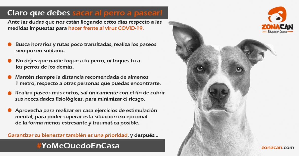 Importante recordar que podemos y debemos ser responsables con nuestra familia canina y con la sociedad 🐶🦮🐩🐈🐕‍🦺🐕
#CoronavirusESP