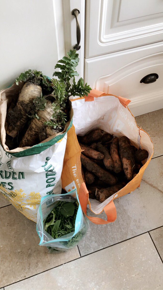 Local farmer very kindly delivering some of their fresh home grown produce to neighbours working for the <a href="/HSELive/">HSE Ireland</a> .. we better get dinner on before Mam gets home!!🥕🥬🥔#AgCredible #planetofplenty #supportlocal #irishnurses #coronavirus