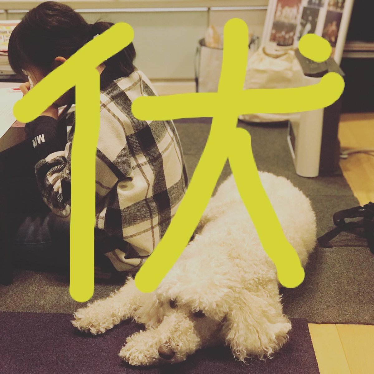 漢字の成り立ち Twitter Search