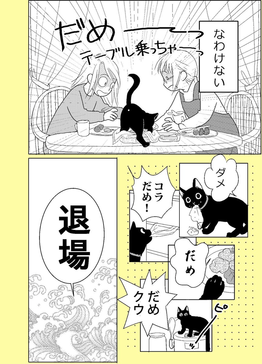 【ねこはねこかぶり】
第7話 ねこを飼うと、毎日(1/2)

1枚目のカラーページが描きたくて描き始めたお話です♪
#ねこはねこかぶり #黒猫クウ #ねこ漫画 