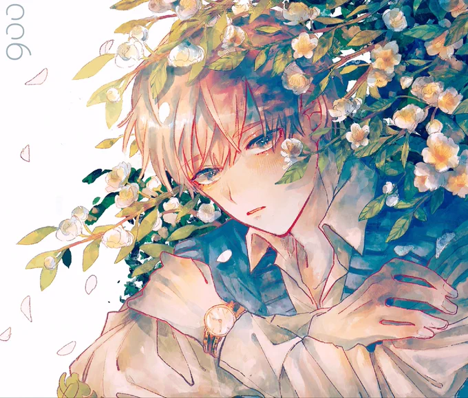 ✿ 