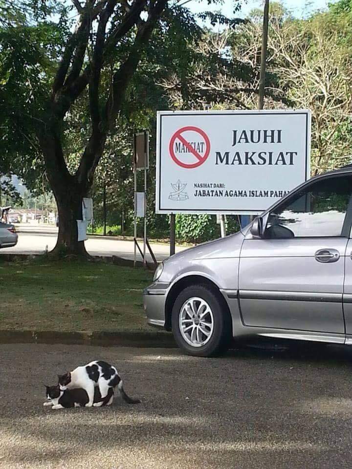 ulat_bulu_bulu's tweet photo. Melawan arus. https://t.co/FH6kF7VjIk