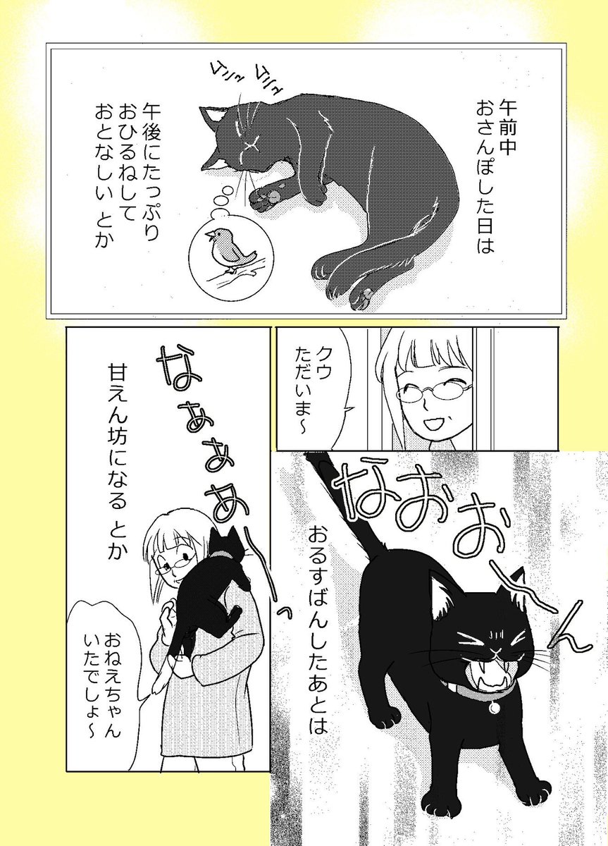 【ねこはねこかぶり】
第7話 ねこを飼うと、毎日(2/2)
毎日、こんな感じになりませんか?
#ねこはねこかぶり #黒猫クウ 