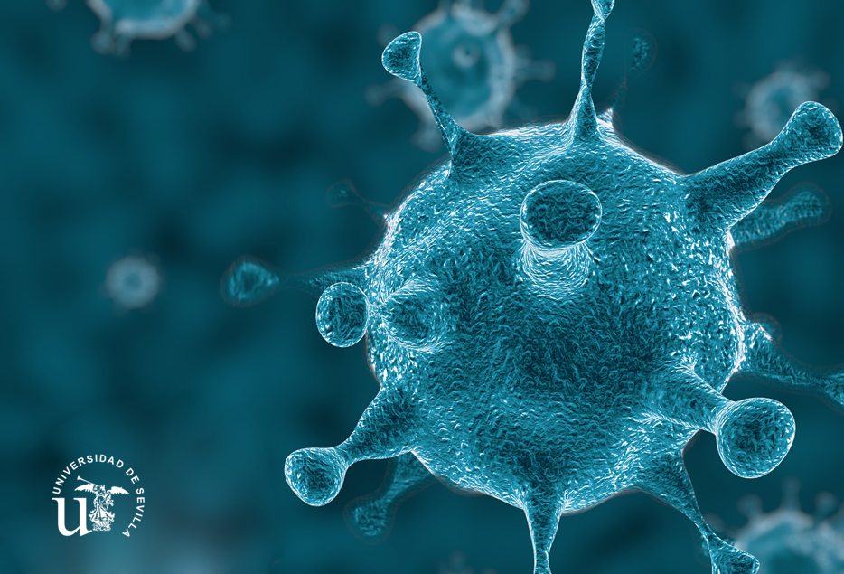 InvestigaUS's tweet image. 🔴¡ATENCIÓN! Desde el lunes 16 de marzo, y mientras dure esta situación de excepcionalidad, no se atenderá personalmente a usuarios en los SGI de la @unisevilla  ni en sus unidades, la atención a usuarios será exclusivamente telemática #CITIUS bit.ly/38MfcIp

#COVID19