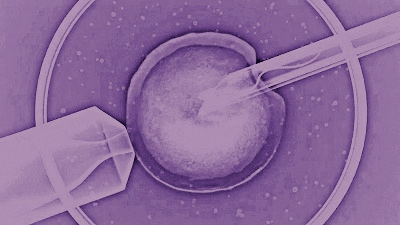 BPAS (@bpas1968) on Twitter photo Are you currently, or have you in the past undergone self-funded #IVF?
We want to ensure patients' voices are heard as the <a href="/CMAgovUK/">Competition & Markets Authority</a> develops its new guidance. Please tell us about your experience by taking our short survey. Thank you. friendsofbpas.org/ivfcons/ Are you currently, or have you in the past undergone self-funded #IVF?
We want to ensure patients' voices are heard as the <a href="/CMAgovUK/">Competition & Markets Authority</a> develops its new guidance. Please tell us about your experience by taking our short survey. Thank you. friendsofbpas.org/ivfcons/