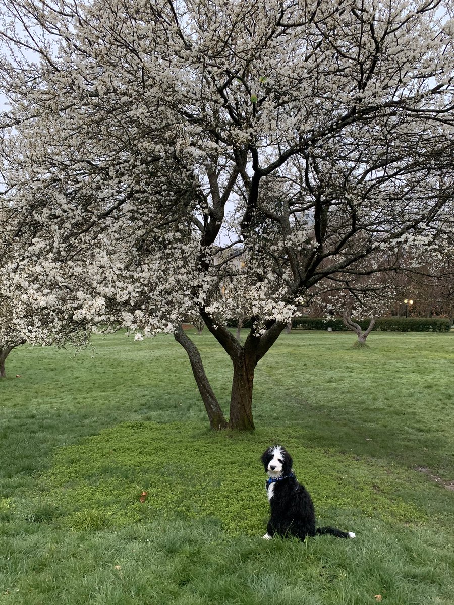 The Oswego Hotel tweet media