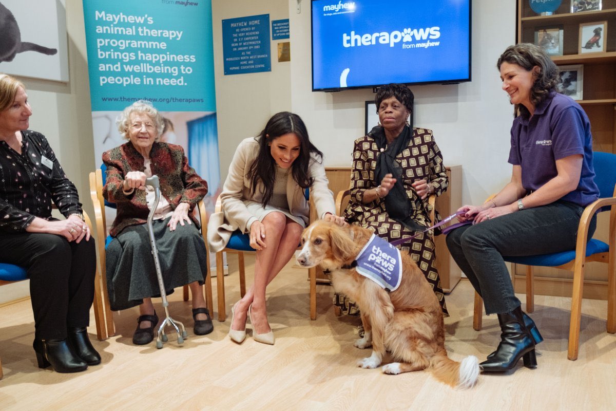  Became patron of  @themayhewAn animal welfare charity which rescues and finds homes for abandoned dogs and cats within London, brings therapy dogs to the sick & elderly, & helps the homeless and other vulnerable pet owners care for their animals despite economic hardship.