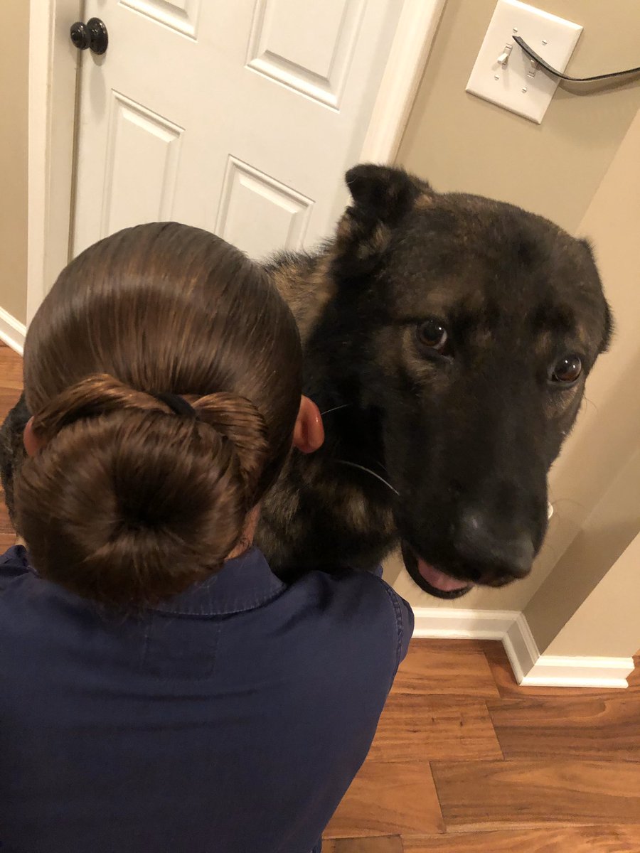 This sock bun thing is way harder than it should be. I’m gonna need some female marines to educate me. 🤦🏻‍♀️#whatswrongwithme #ineedhelp #drillweekend #coastguard #buns #gsd #k9 #workingdog #hemad #k9apart