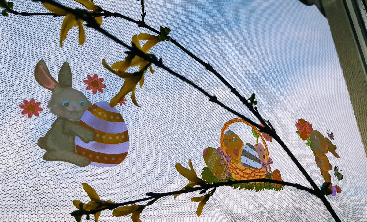 SweetMouse85's tweet image. Easter can come. Kids decorated the windows 🐰🐣🏵
Have a nice weekend everyone! 🙂

#EasterWindow #Easter #easterbunny #Easter2020 #BlueSky #IndieGameDev #GamersUnite