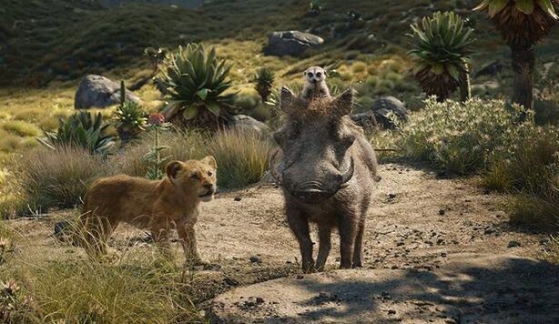33yuu___'s tweet photo. 🦁ライオン・キング(2019超実写版)を観た。1490のショットのうち「サークル・オブ・ライフ」冒頭の1ショット以外すべてCGで制作。葉も岩も��もかも、、。
メイキング大好き者としては見応えが凄かった。好きな作品がまた増えた。

３人で星空を見るシーン好き
#ライオンキング　#映画　#ディズニー https://t.co/34qmu86Gk5