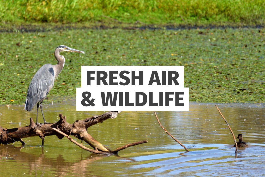 FHextraordinary's tweet image. With huge skies, fresh sea air, unspoilt marshes, a coastal nature reserve and more, #FolkestoneandHythe is an absolute gift for nature lovers. #FHextraordinary