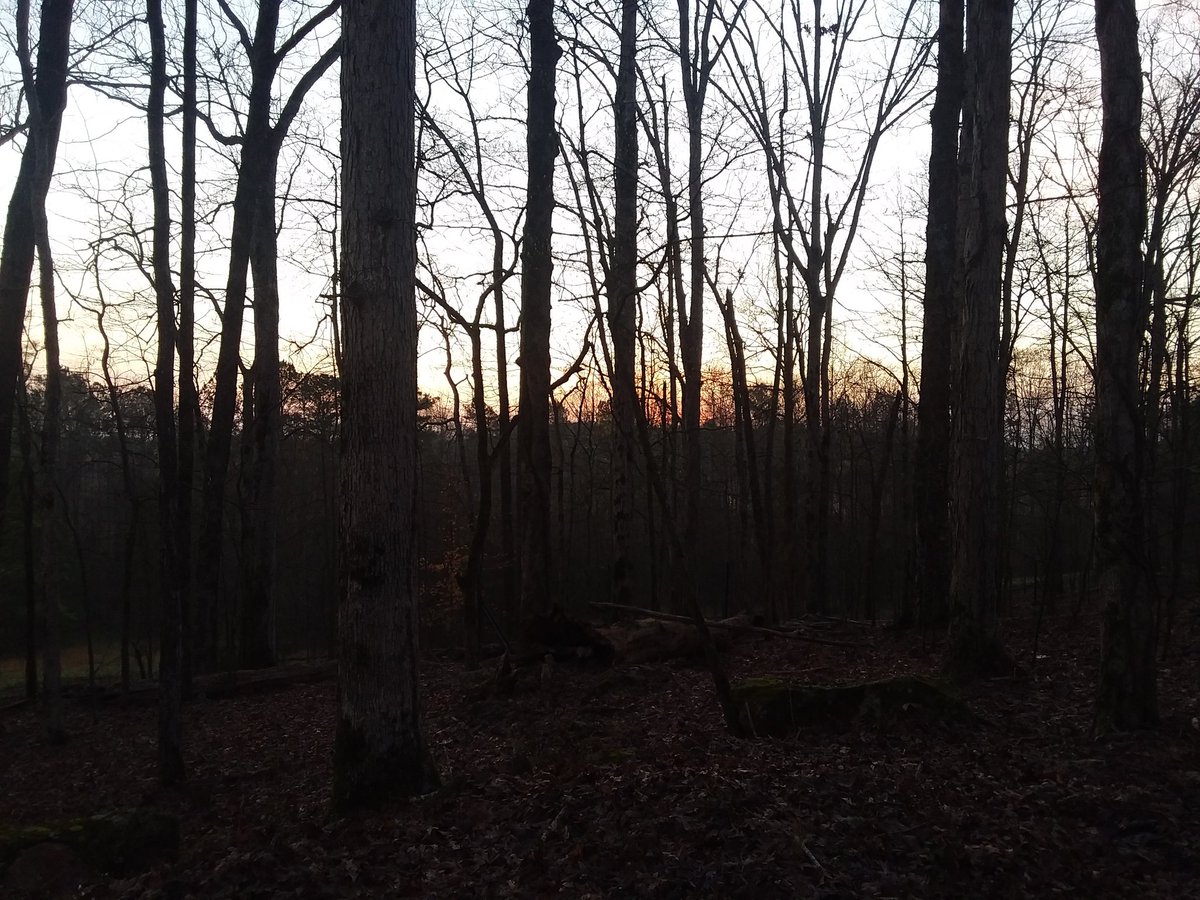 David Baker tweet media