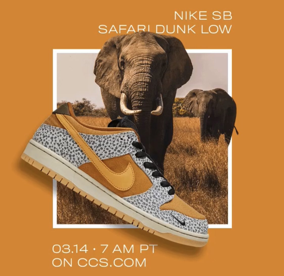 CCS: Nike SB Dunk Low 'Safari 