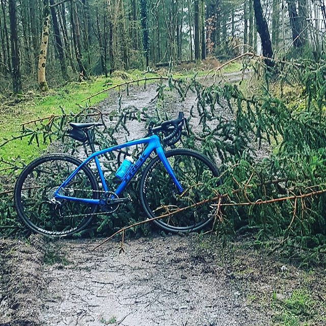 luccasports's tweet photo. Self isolating by keeping to gravel 
#makevergeyours #trekbikes https://t.co/2OhOFFYQ9q