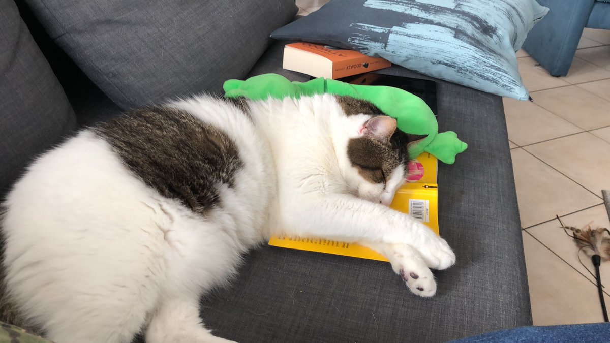 ElisaTod's tweet photo. A good book makes quarantine better 💤 https://t.co/cA3x7Pw1oA