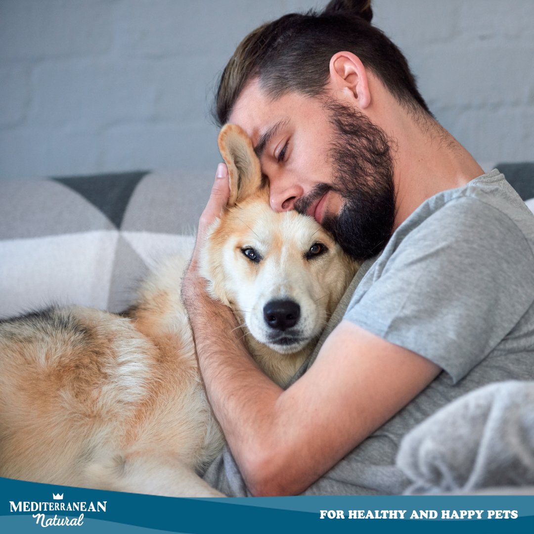 _mnatural's tweet photo. ¡Comparte y evitemos abandonos! 🙏 El #CORONAVIRUS canino es distinto al humano #COVID19: #perros y gatos NO son transmisores de esta enfermedad ni pueden padecerla. ¡Ámale y disfruta de su compañía en casa! 😍Más info 😉 ▻ https://t.co/o6DJzTFuxP #QuédateEnCasa #YoMeQuedoEnCasa https://t.co/6QxTgecIJv