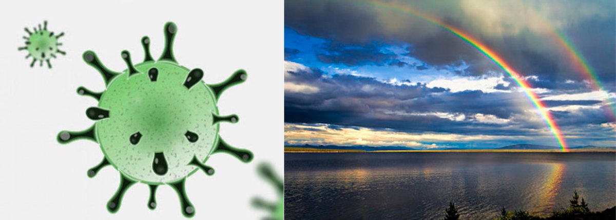 Viviamo un crisi globale, la visione della realtà sociale ed economica sono minate e dovranno essere riconsiderate. 
Possiamo uscire dal tunnel coltivando i beni relazionali e accelerando un processo di trasformazione verso energie nuove e sostenibili.”