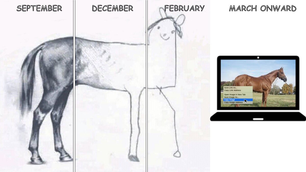 The 2019-2020 School Year