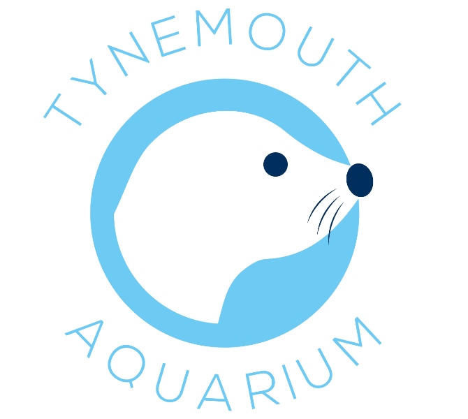 Tynemouth Aquarium tweet media