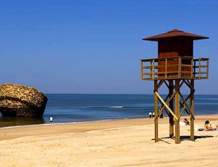 MejorPlaya's tweet photo. pandemia de coronavirus.

Nuestras playas estarán cerradas al público con las pertinentes medidas de vigilancia por parte de la Policía Local. 

Vamos a parar esta epidemia entre todos y todas. https://t.co/jV3B9hUG60