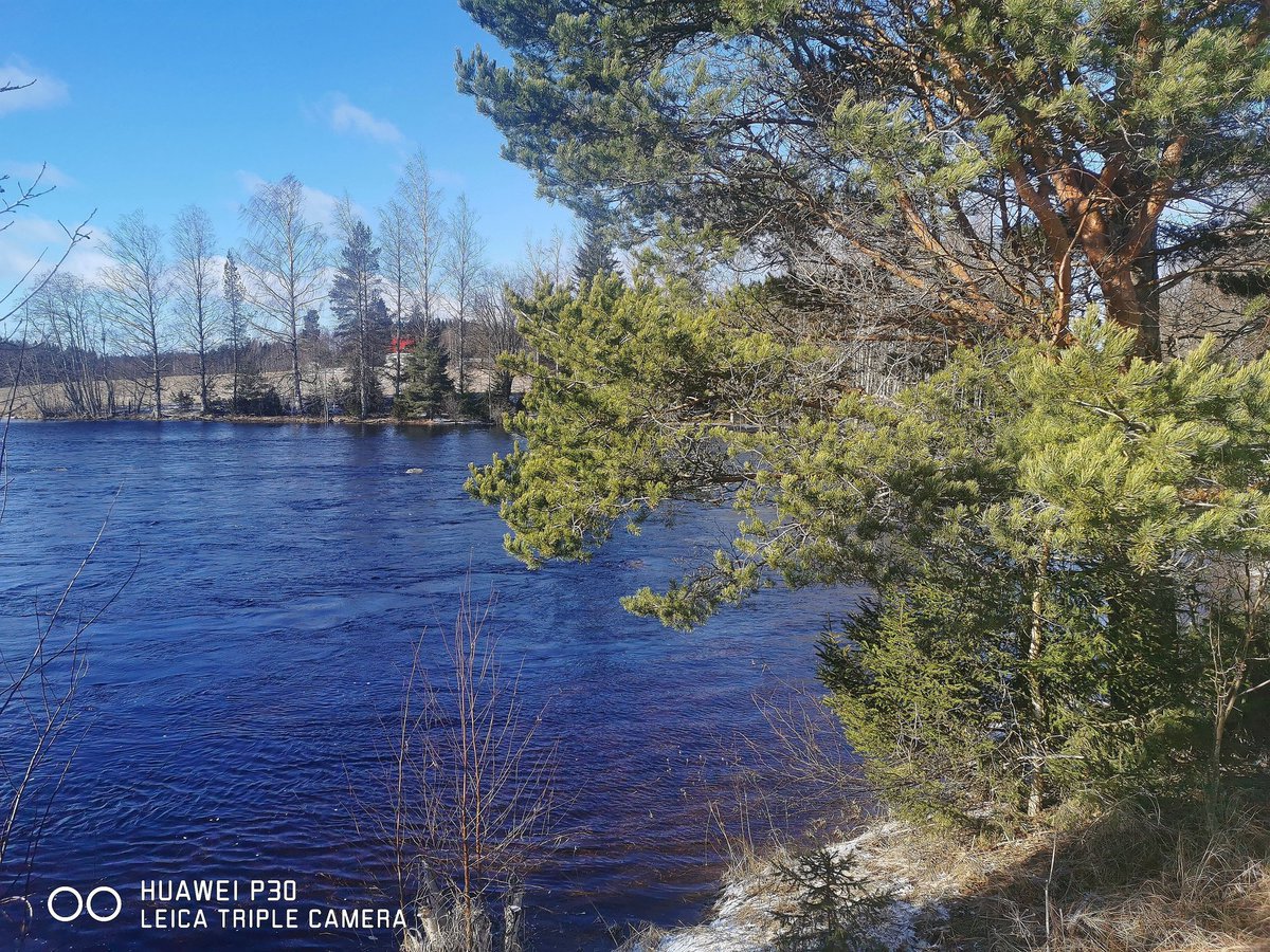 reccu93's tweet photo. Melaskosken suvantoa 14.03.20 #koski #suvanto #vesi #aurinko #tuuli #luonto #valokuvaus #saakuvat #ylenaamu #pirkanmaa https://t.co/lrWWEQiP47