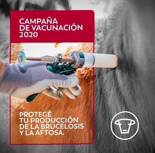 Campo&Asociados (@campoyasociados) on Twitter photo 