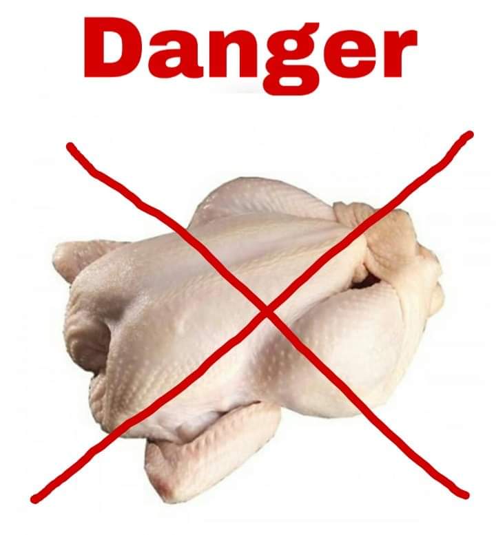 Mujahed59017176's tweet photo. Telangana Government se Guzarish hai ke  chicken westage Aur uska Kachrey se Bohat Khatarnak problem Ho Sakti hai Public ku Hyderabad City..me....#Bonthu #Rammohan #saab #Mayor #of #Hyderabad...#city....iske Upar Jald se Jald action liyaJaaye......#Attapur #Karman #Ghat #Amberpet https://t.co/zqhc0IQLNA