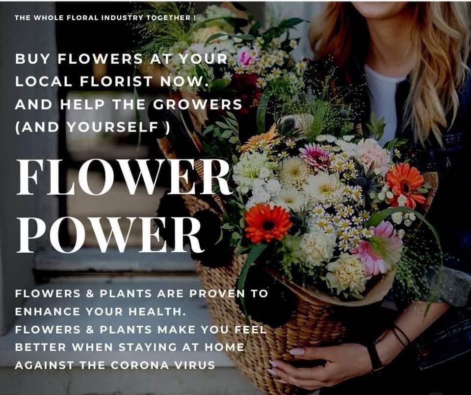 lievaartfreesia (@lievaartfreesia) on Twitter photo 