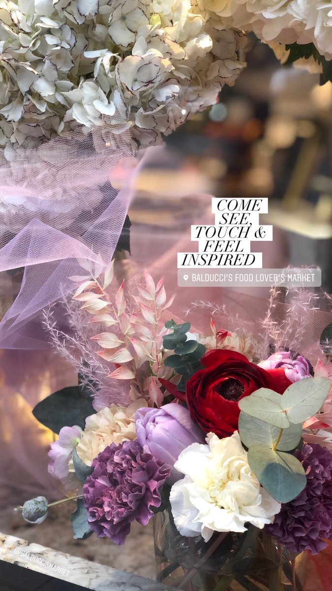 RepeatRoses's tweet image. Need a soothing break from the news? Check out this week’s Passports collection inspired by the @museumatFIT Ballerina exhibit instagram.com/p/B9tr5kphGzL/… #zerowasteflowers