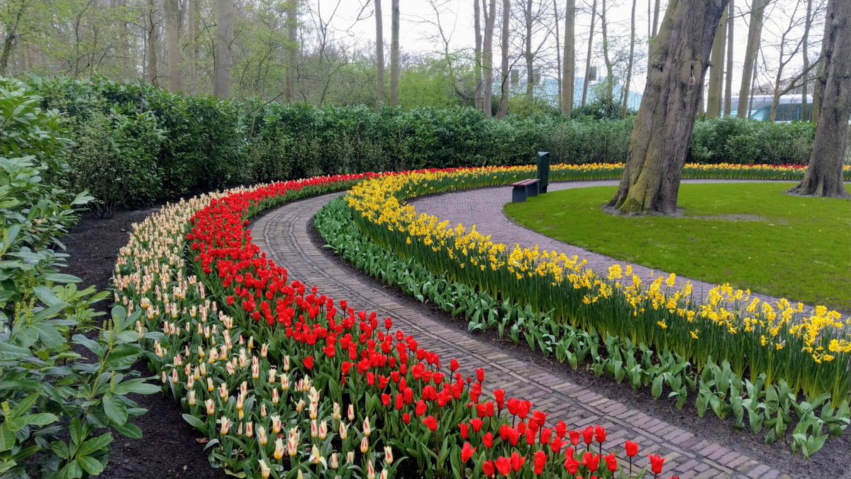 Met ingang van 14 maart is een noodverordening van kracht van de Nederlandse overheid. Dit betekent dat Bloemententoonstelling Keukenhof niet kan openen op 21 maart.

Kijk voor meer informatie op: bit.ly/2IO2Ip2