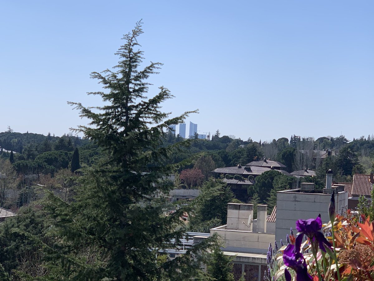 pillopez's tweet photo. El cielo de Madrid sigue tan maravilloso como siempre #yomequedoencasa https://t.co/tQchkqwz7R