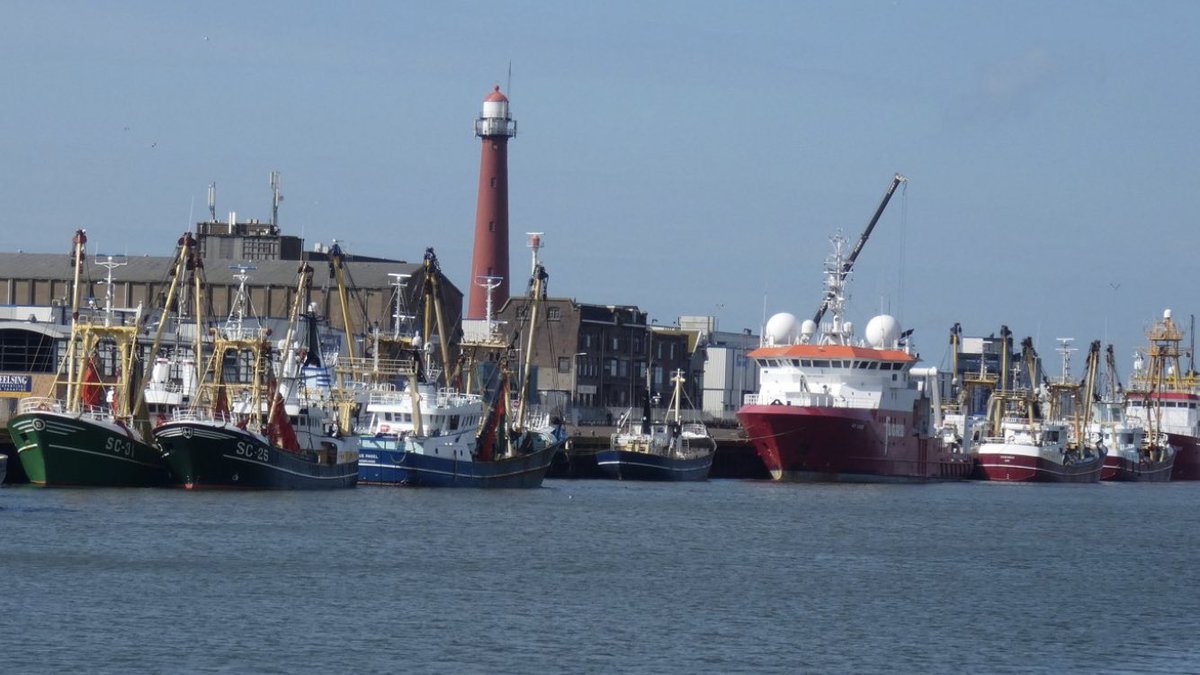 AlbertVCU's tweet photo. Vlootje ligt er rustig bij in de zon in IJmuiden #Weekendrust https://t.co/Gpes6IhlvP