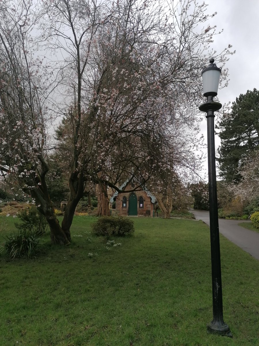 🌱Spring is definitely springing in our beautiful Valley Gardens today!🌱