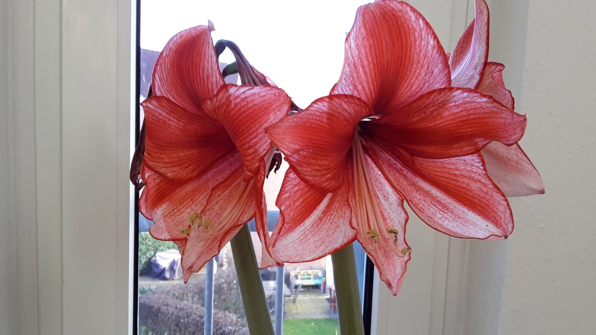 Guten Tag,allerseits