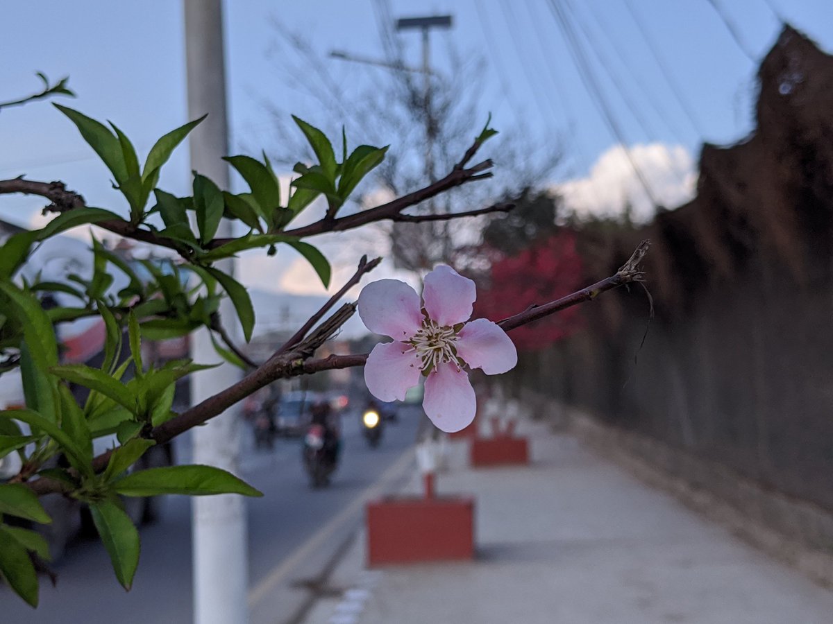 iShzz's tweet photo. #Spring #ishpix https://t.co/lF3SWP2JgT