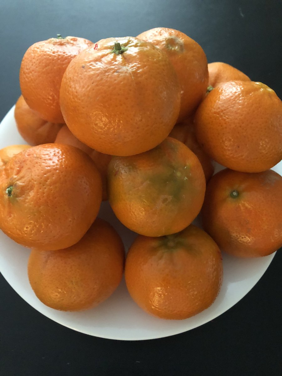 LilyLiuDC's tweet image. #MandarinOranges (from #Morocco!) evoke #sunshine, #warmth, #joy, #peace, lively #fun and #love. I hand to you a Mandarin~