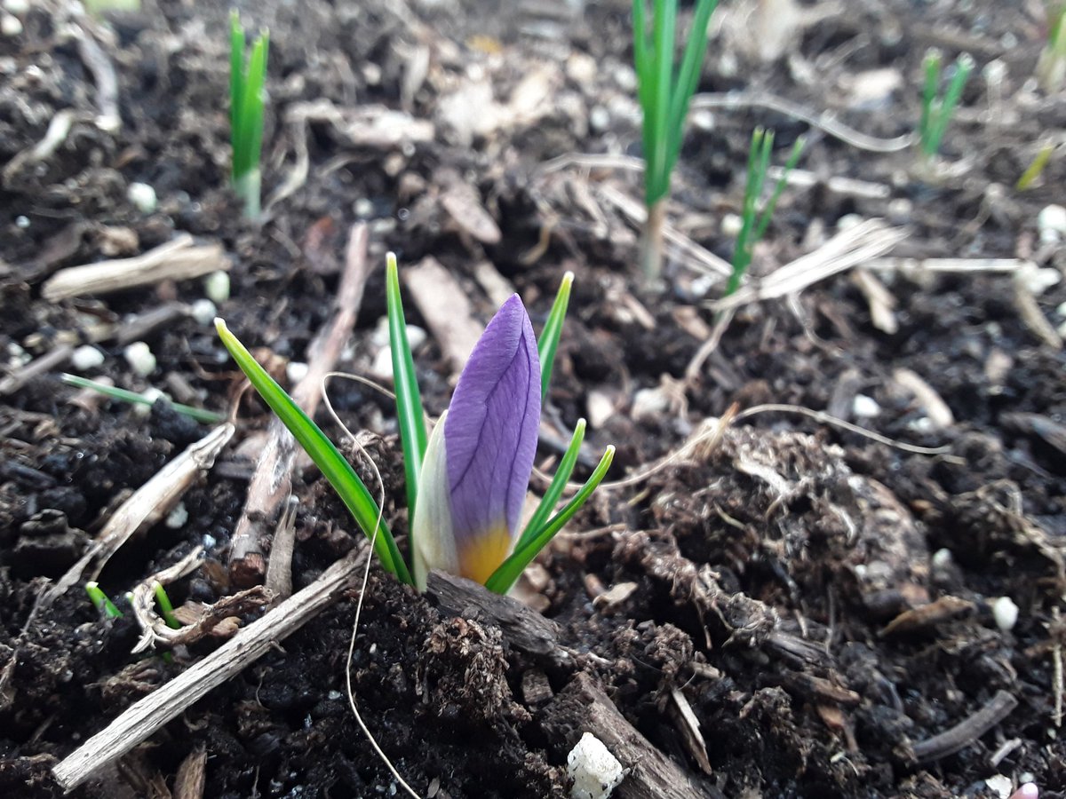 I'm pleased to announce the official start of the gardening season