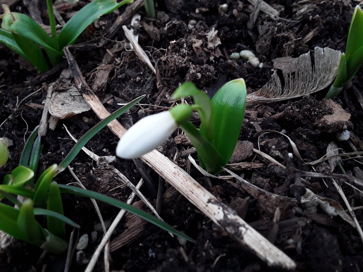 I'm pleased to announce the official start of the gardening season