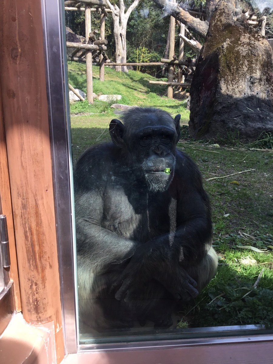 Little_K_KGP's tweet photo. 今日は動物園楽しかったぬいぐるみの名前は「こん」にした笑

　🧡みお🧡 https://t.co/F0xf0w0VA0