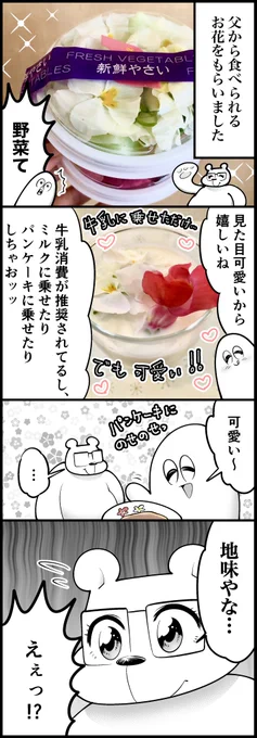 食べられるお花と私とミルク(計2枚です)※ほんのり食べ物の話なのでお腹が空いている人は気をつけてください 