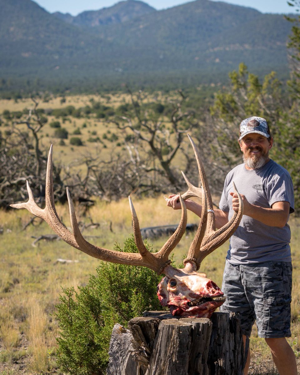 huntavid's tweet image. By fall, it will be business as usual in elk country! #RebelRanchOutfitters