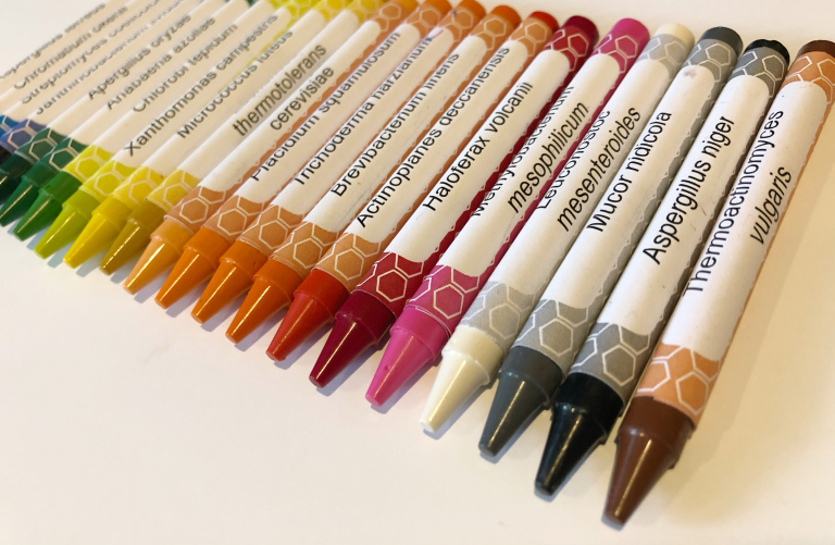 BactToTheFuture's tweet photo. #Microbes around us produce a rainbow of colours! 🌈 The Microbe Crayon Project of @AnneAMadden shows us that these tiny beings make our world colorful! 🖌🦠 https://t.co/zIXNC9yIiZ https://t.co/LCMGJyeLuo