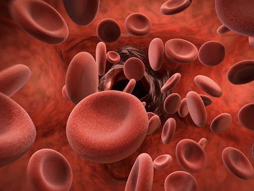The History of Platelet-Rich Plasma: tinyurl.com/r28oq9u #GrowthFactors #NYCRegenerativeMedicine #ChronicKneeandJointPain