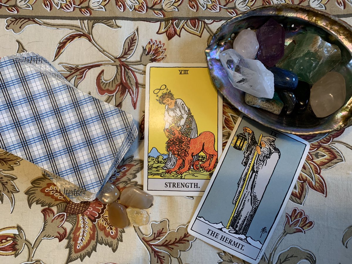 BoozyTarot's tweet photo. Today’s cards: Stay away from people and build up your immune system. Exercise, meditate, pet your floofy kitty. https://t.co/FkzEAeaN6Y