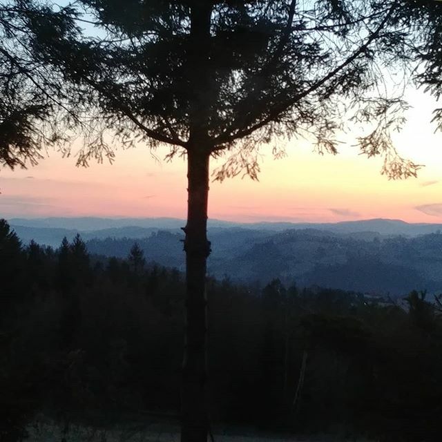 wyrypy's tweet photo. Siedzicie w domach? Bo u nas #izolacja na własną prośbę. #wyrypysenior czyli siwa i Alojz okopani w Beskidach... #kwarantanna #beskidy #zaoknem #sunset #zachodslonca https://t.co/bEcAlm5qyd