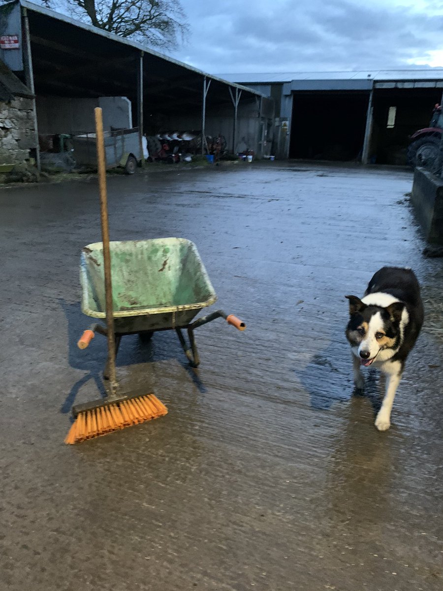 McGuinnessEU's tweet photo. Job done - thanks for the company Sam 🐕 https://t.co/Z303h4Mk3j