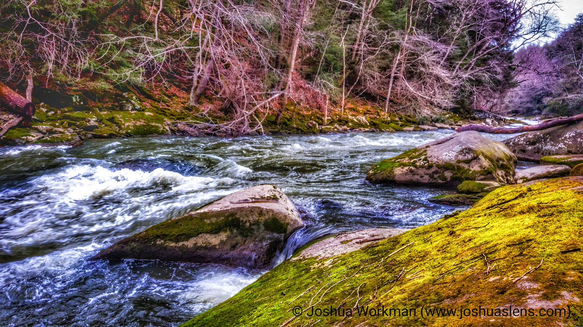 JRWPhotographer's tweet photo. Woke up extra early today to meet up with a good friend for some #hiking and #photography what a great morning #cellphonephotography #note10plus #shotonnote10plus #samsungnote10plus #landscapephotography #mcconnellsmillstatepark #pastateparks https://t.co/y8HxlZDDOG