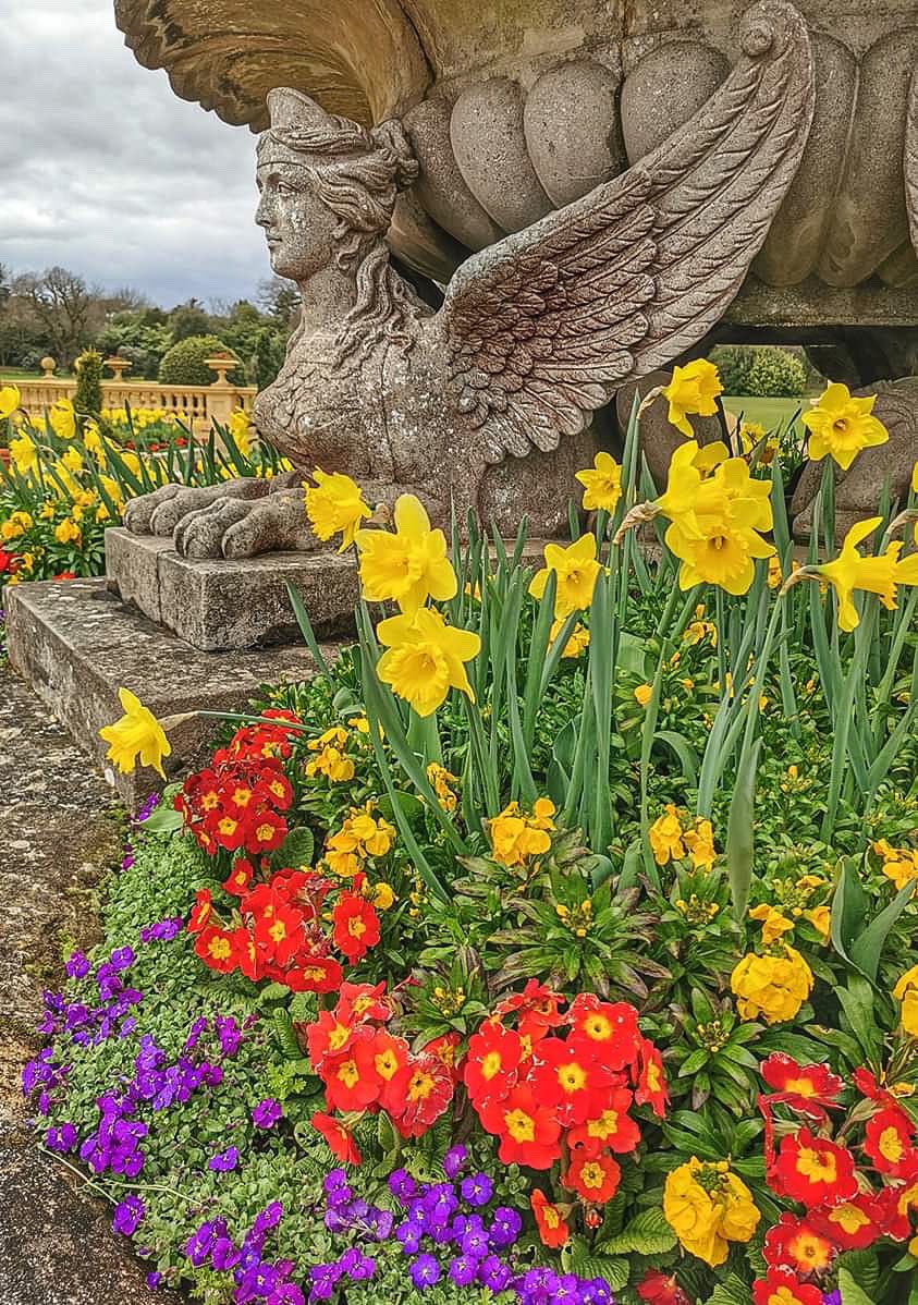 onthewight's tweet photo. Thanks to Alice Williams for sharing this lovely shot from Osborne Gardens today
#isleofwight #wightinbloom https://t.co/pFKelFwgBa