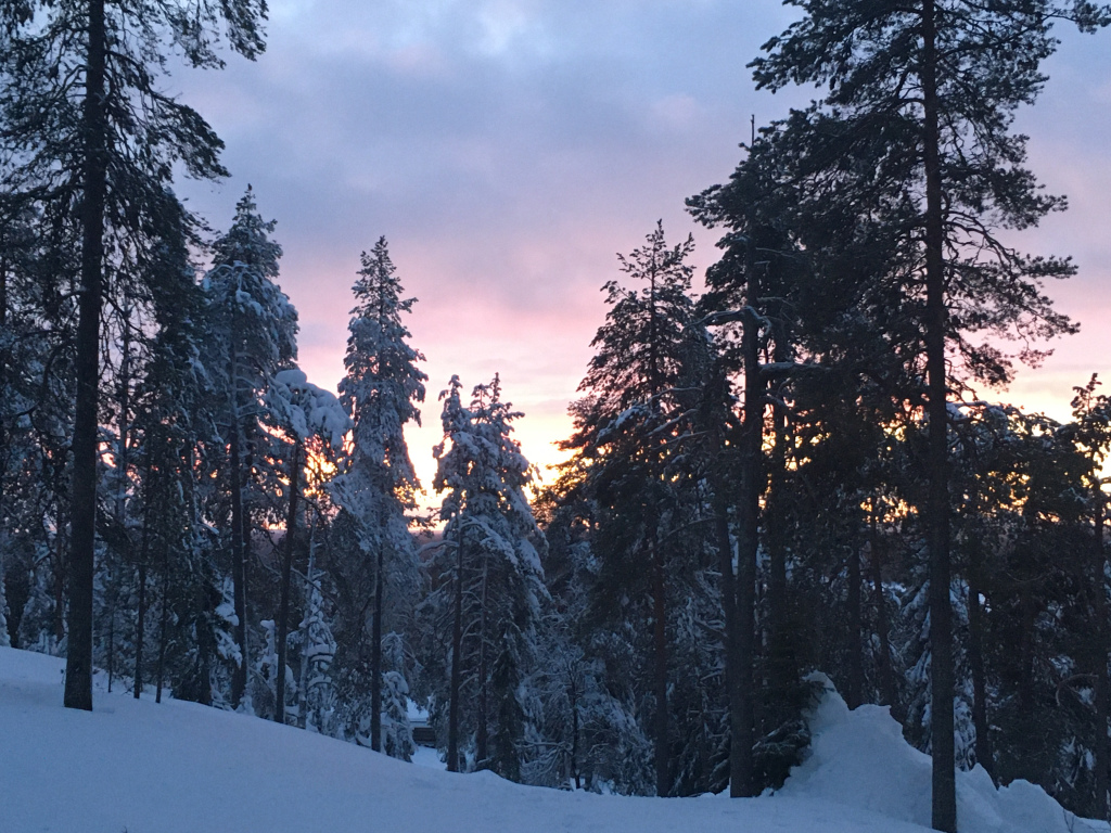 nixearle's tweet photo. Ruka, Finland https://t.co/gS9u8keJWB https://t.co/vQa4K83Rf5