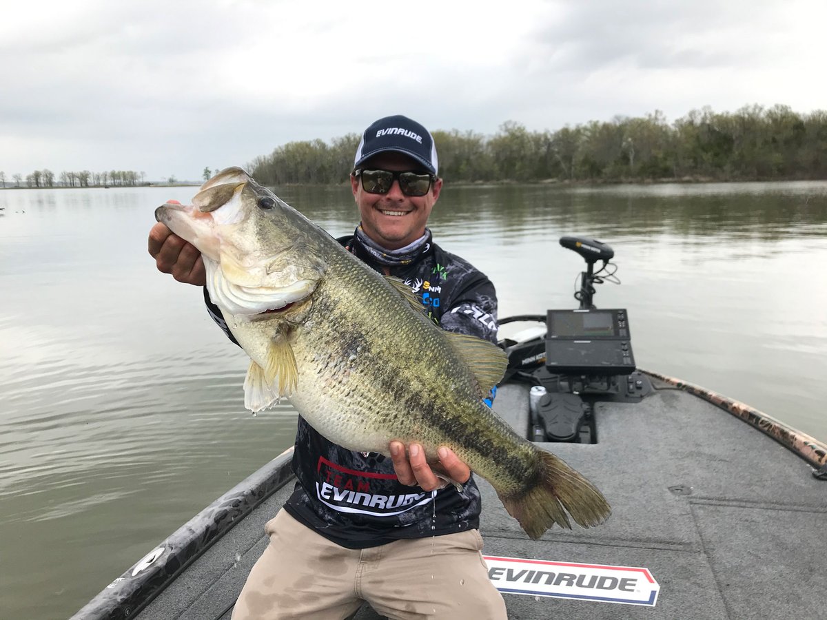MajorLeagueFish tweet picture